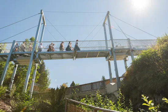 Menschen überqueren eine Hängebrücke inmitten von Grün bei strahlendem Sonnenschein
